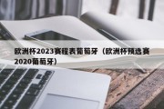 欧洲杯2023赛程表葡萄牙（欧洲杯预选赛2020葡萄牙）