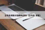 公牛队球员卡洛斯布泽尔（公牛队 球星）