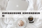 欧洲杯直播日程在哪看（欧洲杯现场直播在哪看）