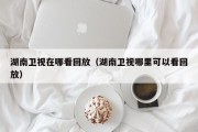 湖南卫视在哪看回放（湖南卫视哪里可以看回放）