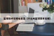 篮球技术犯规啥意思（什么叫篮球技术犯规）