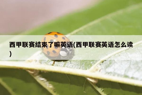 西甲联赛英语怎么读(西甲联赛结束了嘛英语)